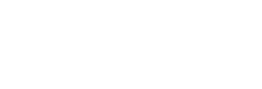 HASSO より早く、より安く、より正確に